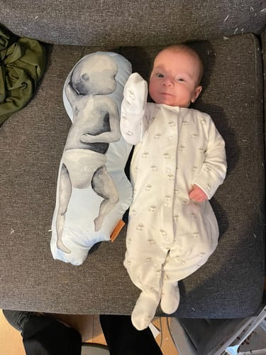 Customer photo review of Birth Pillow Watercolor Three