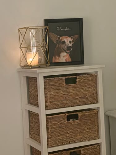 Customer photo review of Pet Art Canvas Wrap