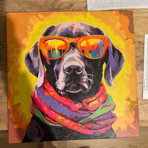 Customer photo review of Sunglasses Labrador