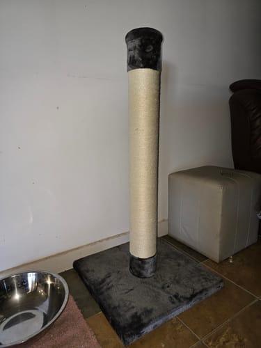Customer photo review of Massive Cat Scratcher, 2 Asstd Colours