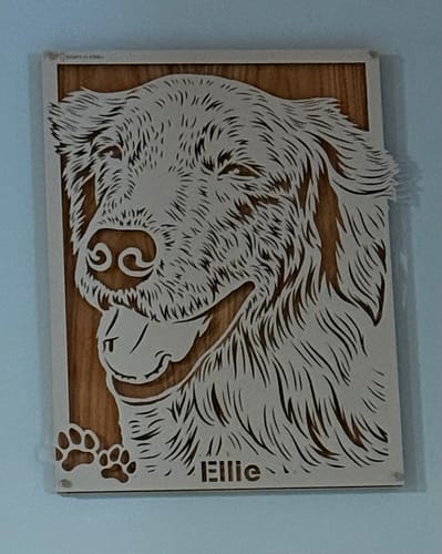 Customer photo review of Custom Pet Metal Portrait