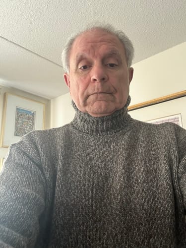 Customer photo review of Bastian Melange Turtleneck