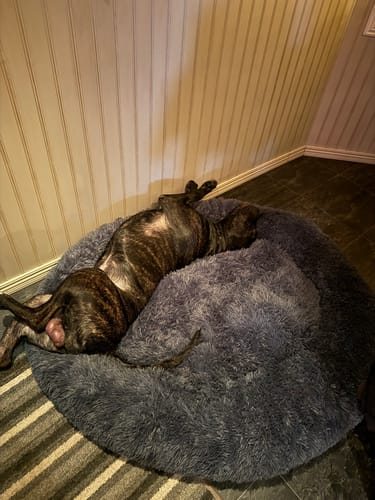 Customer photo review of CalmBed - Motverkar stress & hjälper mot ångest