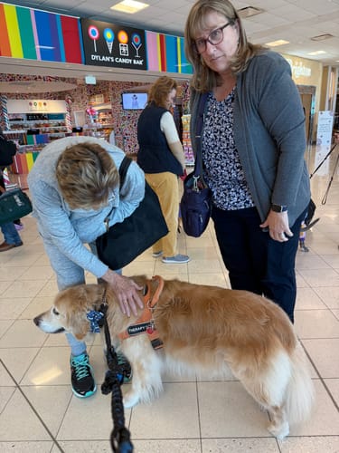 Customer photo review of Dog Bone Bowtie- Navy Blue