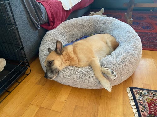 Customer photo review of CalmBed - Motverkar stress & hjälper mot ångest