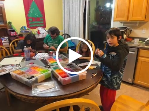Customer video review of 6000pc Container - Medium Palette
