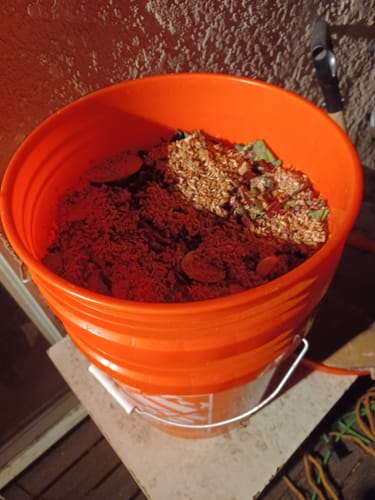 Customer photo review of BierKashi Bokashi 5 to 50 lbs