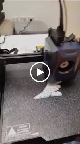 Customer video review of Anycubic Kobra 2 Neo