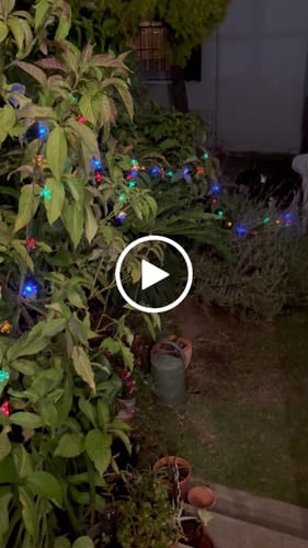 Customer video review of Flower Solar Fairy Lights