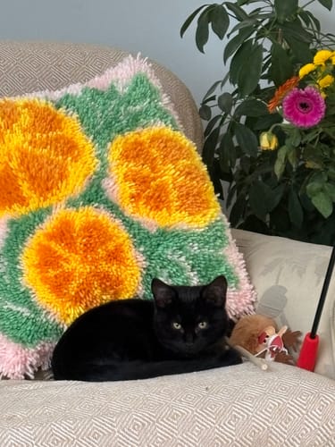 Customer photo review of When Life Gives You Oranges Latch Hook Cushion Kit