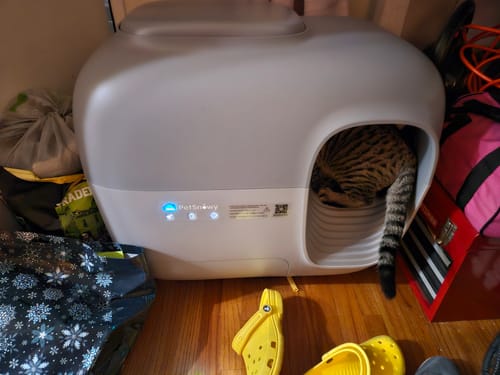 Customer photo review of Self-Cleaning Litter Box
