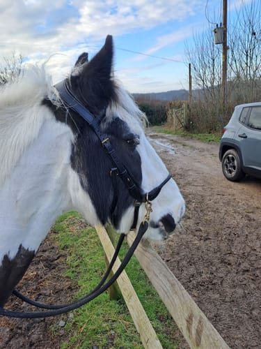 Customer photo review of Black Diamond