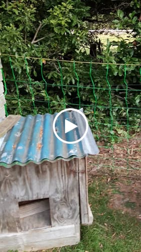 Customer video review of Electric Fence Netting - 50m X 126cm
