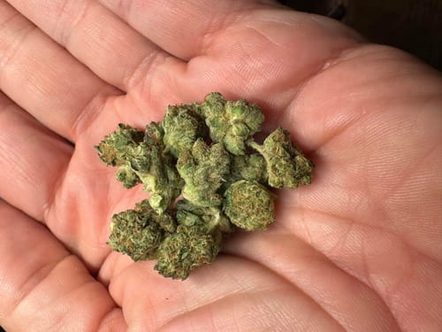 Customer photo review of Wedding Cake - 14 Grams Littles - Hybrid