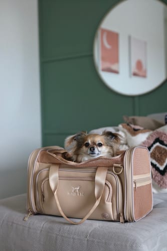 Customer photo review of Airline Approved Travel Pet Carrier