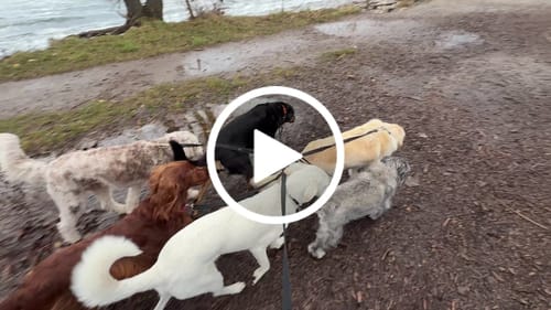 Customer video review of Lead-All Pro