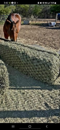 Customer photo review of Hay Chix® 2-Strand Bale Net (Small Bale Net)