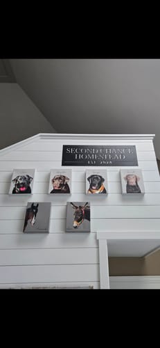 Customer photo review of Pet Art Canvas Wrap
