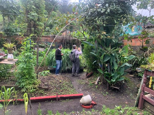 Customer photo review of Colección De Pelos x4