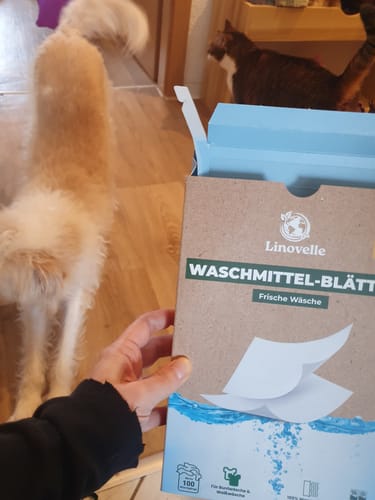 Customer photo review of Waschmittelblätter + 50 Extra GRATIS Wäschen