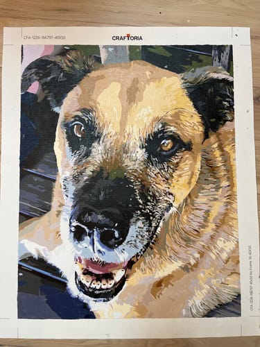 Customer photo review of Custom Paint By Numbers Kit