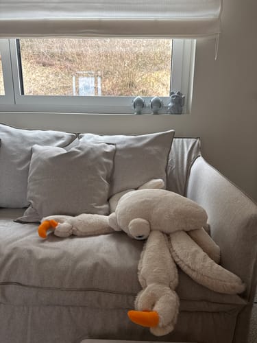 Customer photo review of The Crab