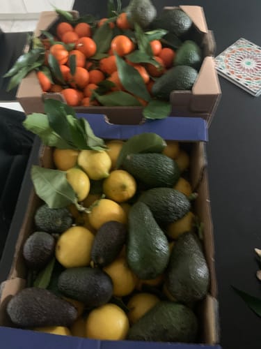 Guy G. review of Avocats - Origine Corse image 1 out of 1