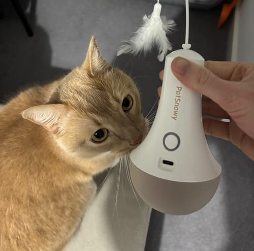 Customer photo review of Roly Poly Cat Toy
