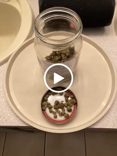 Customer video review of THC Flower Exotic Smalls BLUEBERRY OG INDICA 112 GRAMS 1/4 LB Half Pound THCa