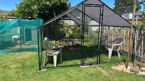 Customer photo review of Chicken Coop Cover