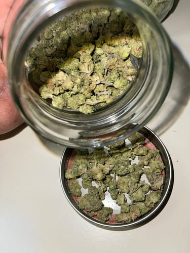 Customer photo review of Skywalker OG - Greenhouse THCA (Smalls)