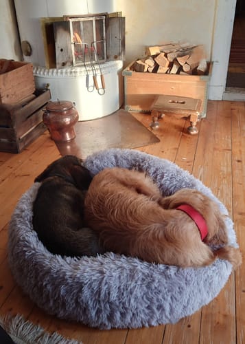 Customer photo review of CalmBed - Motverkar stress & hjälper mot ångest