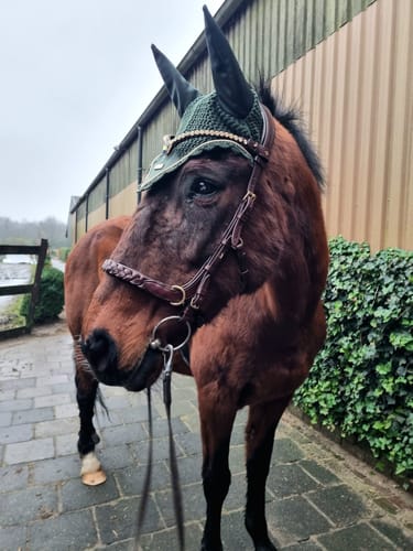 Customer photo review of Sonia Browband