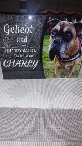 Customer photo review of Hunde Gedenktafel mit Foto & Spruch (UV- & Wetterfest)