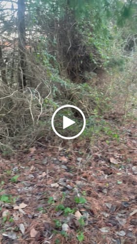 Customer video review of Predator Ghillie™ Backpack Cover