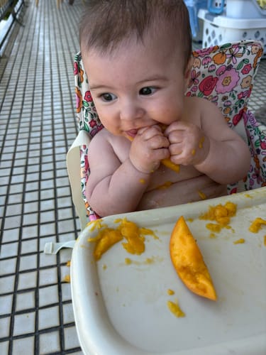 Customer photo review of Paloma baby chair v2
