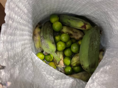 Customer photo review of Banana Sampler