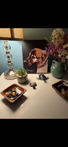 Customer photo review of Pet Art Canvas Wrap