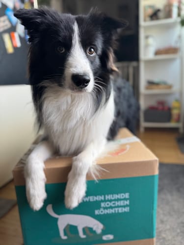 Customer photo review of Frischfutter für Energiebedarf von 776 kCal/Tag