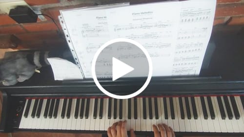 Customer video review of Donner DDP-100 Piano Digital de 88 Teclas de Peso Completo para Principiantes