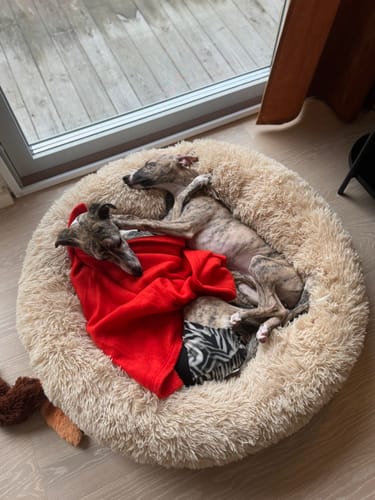 Customer photo review of CalmBed - Motverkar stress & hjälper mot ångest