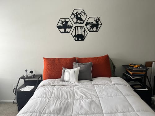 Customer photo review of Four Wildlife Hexagon's - Metal Wall Art