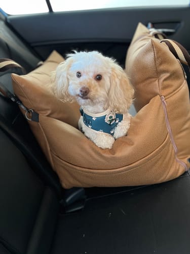 Customer photo review of Booster