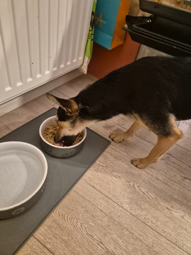 Customer photo review of Frischfutter für Energiebedarf von 426 kCal/Tag