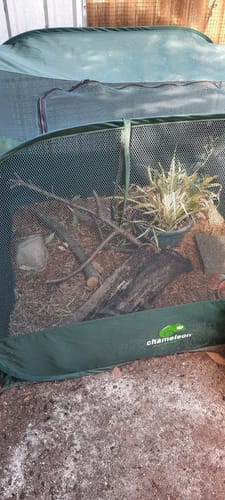 Customer photo review of PUC1000