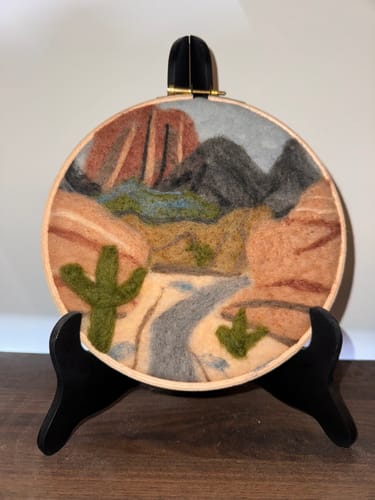 Customer photo review of Desert Trail Needle Felting Kit