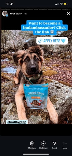 Customer photo review of Chicken Mini Training Treats