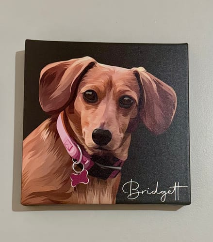 Customer photo review of Pet Art Canvas Wrap