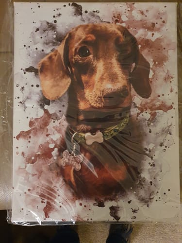 undefined review of Your Pet as Watercolor Portrait image 1 out of 1