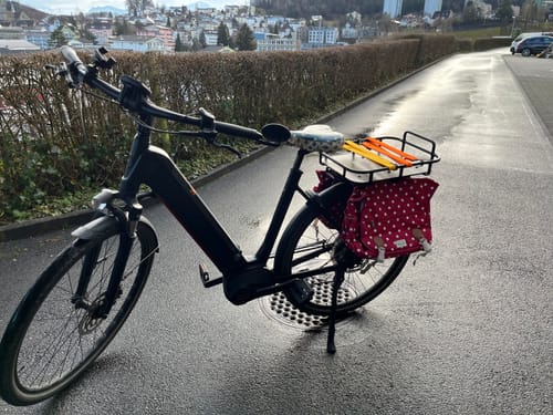 Customer photo review of Velokorb PACKI